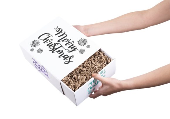 MERRY CHRISTMAS Decoration Sign Review
